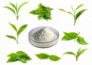 L-Theanine supplier