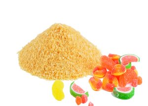 Gelatin Supplier