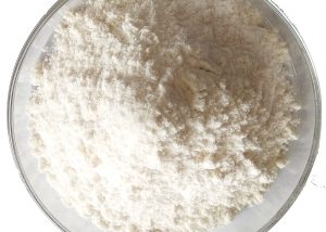 Maltodextrin Supplier