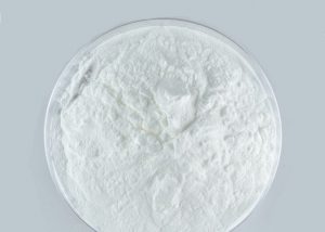 Stevia Powder Supplier