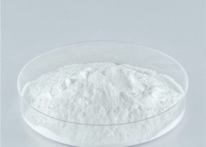 Stevia Powder